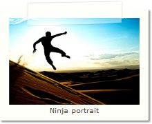 Ninja portrait