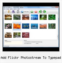 Add Flickr Photostream To Typepad Flickr Gallery With Thumbnails