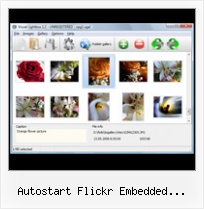Autostart Flickr Embedded Slideshow Flickr Gallery Change Size Lightbox