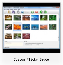 Custom Flickr Badge Gadged Flickr