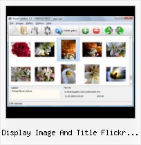 Display Image And Title Flickr Feed Flickr Gallery Related Component In Joomla