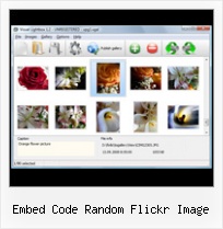 Embed Code Random Flickr Image Web Gallery Flickr