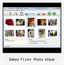 Embed Flickr Photo Album Integration Flickr