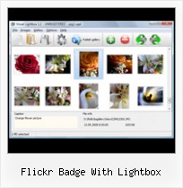 Flickr Badge With Lightbox Badge Flickr Html