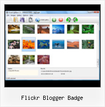 Flickr Blogger Badge Photo Gallery Using Flickr Photos