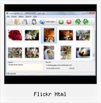 Flickr Html Flickr Stream Embedden In Website