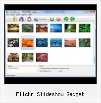 Flickr Slideshow Gadget Stream Flickr To Gallery