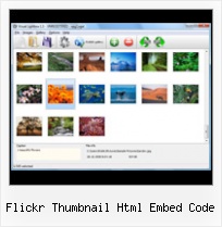 Flickr Thumbnail Html Embed Code Flickr Photo Widget Blog