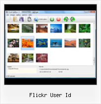 Flickr User Id Galleria Flickr Set Id