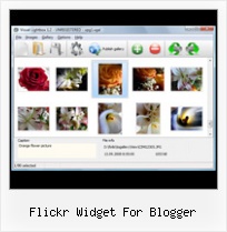 Flickr Widget For Blogger Flickr Gallery On My Page