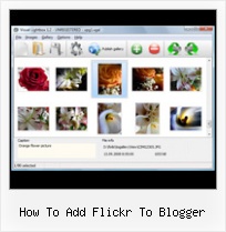 How To Add Flickr To Blogger Simple Flickr Plugin