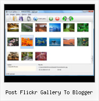 Post Flickr Gallery To Blogger Captbunzo S Flickr Demo