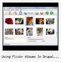 Using Flickr Albums In Drupal Website Timestamp Php Flickr