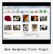 Best Wordpress Flickr Plugin Flickr Photostream Slideshow Autoplay