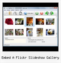 Embed A Flickr Slideshow Gallery Flickr Gallery For Blogger Widget