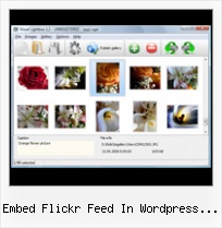 Embed Flickr Feed In Wordpress Json Flickr Loop Html Embed