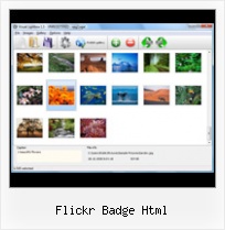 Flickr Badge Html Flickr Web Gallery Rss
