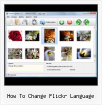 How To Change Flickr Language Gallery For Website Using Flickr