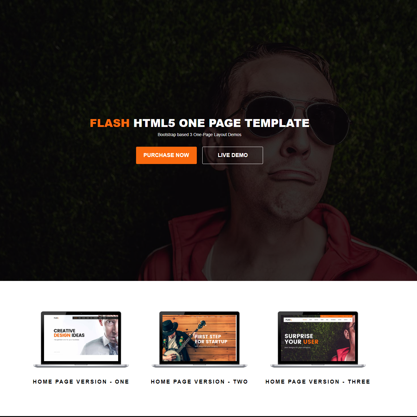 Free Download Bootstrap Flash Themes